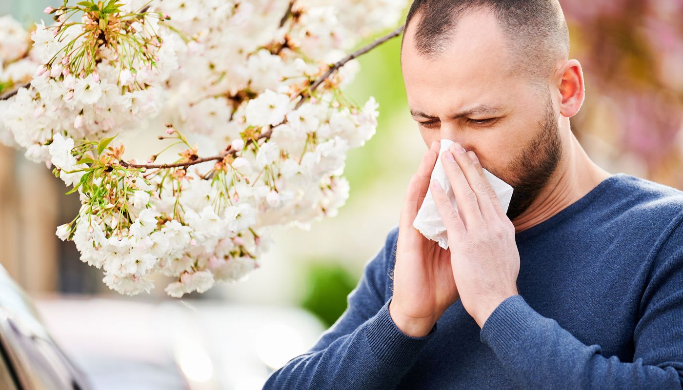Mann niest im Frühling unter blühendem Baum