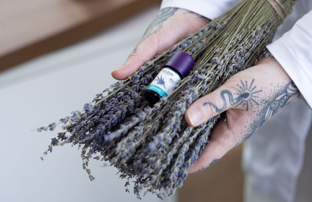 Hände halten Lavendelstrauß und ätherisches Ölfläschchen