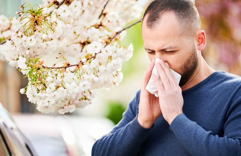 Mann niest im Frühling unter blühendem Baum